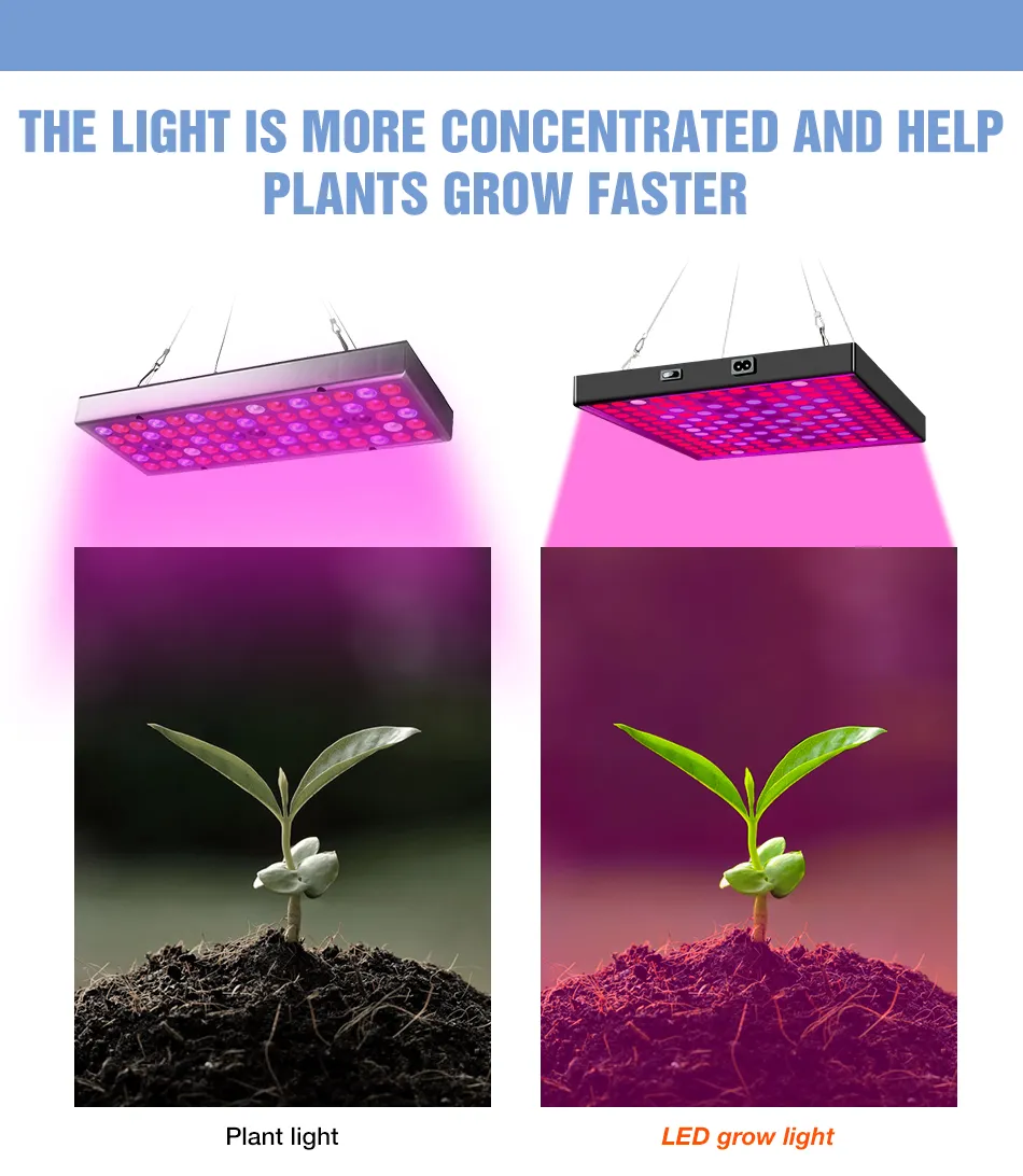 Luz LED de cultivo 2000W 3000W, iluminación de plantas LED Phytolamp de espectro completo para invernadero, 215k