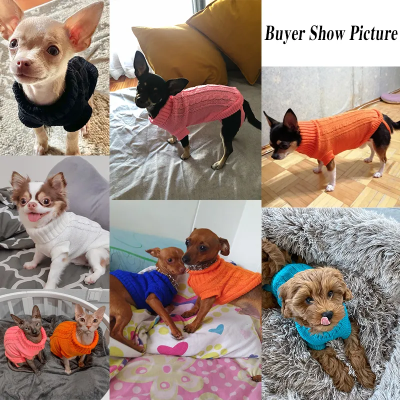 Pet Sweacters Roupas de animal de estimação para cães pequenos Casaco de suéter quente Roupa para gatos roupas de cachorro de cachorro macio de lã C0627ZR01