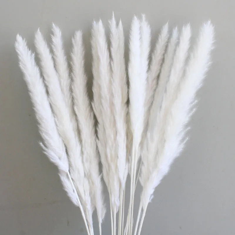14st 7st Colorful Bulrush Grass Natural Dried Flowers Artificial Home Wedding Living Room Decoration Accessories Long Bouquet 220815