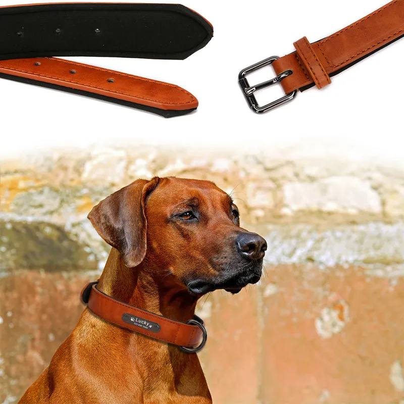 8 cores de colar de gola de cachorro personalizada produtos de estimação de couro para cães acessórios pitbull colar gola perro cachorro colar cão cota pug 220610
