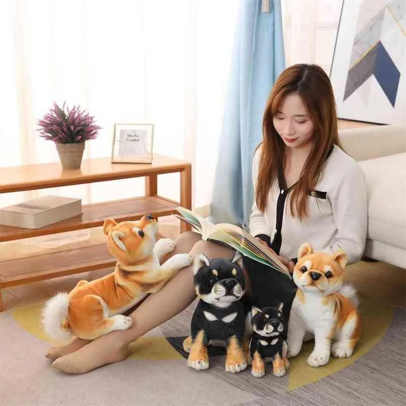 CM Piękne Shiba inu psa pluszowe zabawki Śliczne siedzenie kłamstwa szczeniaki wypełnione miękkie zwierzę dzieci dziecięce prezenty urodzinowe J220704