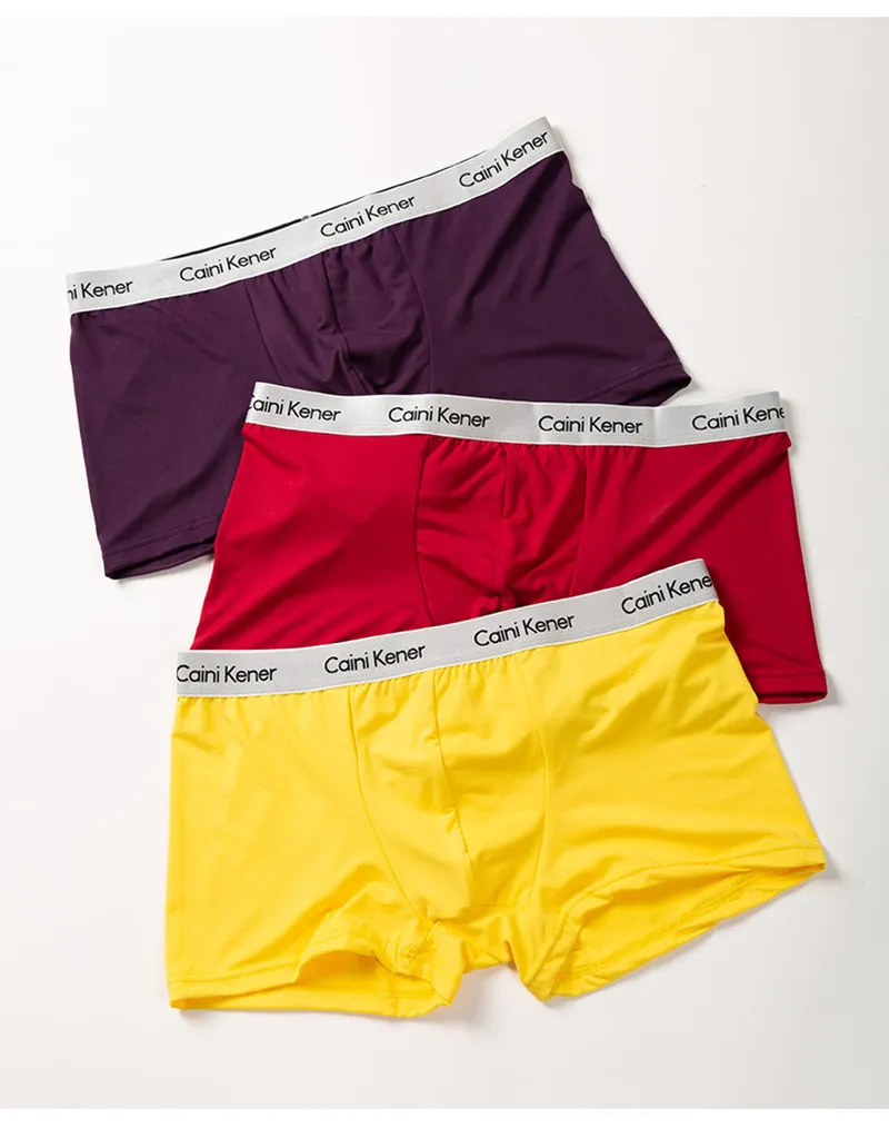 Set Boxers Briefs For Men Breattable Underwear Boxer Male Soft Underpants Man Luxury Brand Bekväma Boxershorts Män 2204237263037
