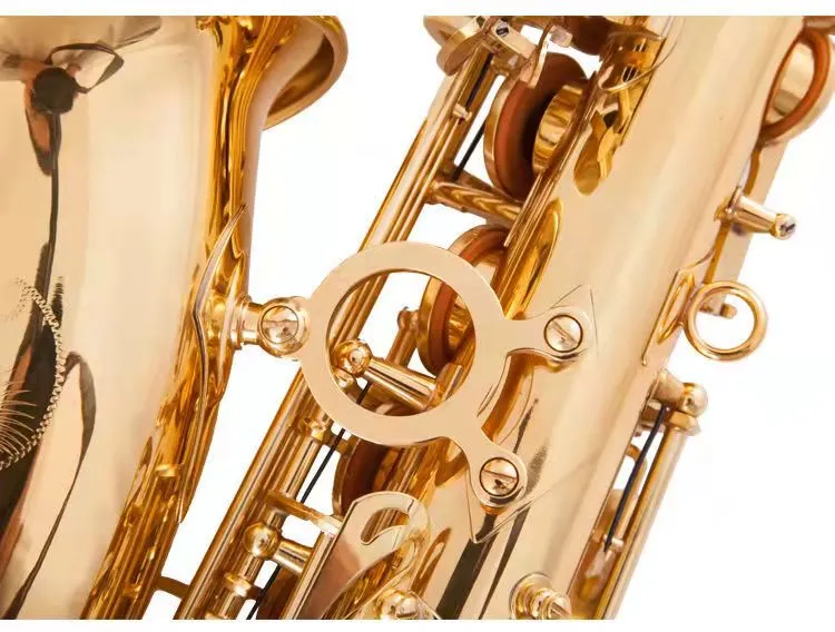 Nuovo sassofono contralto professionale in mi bemolle dorato, sax contralto europeo in ottone placcato oro di ultima generazione suonare strumenti jazz