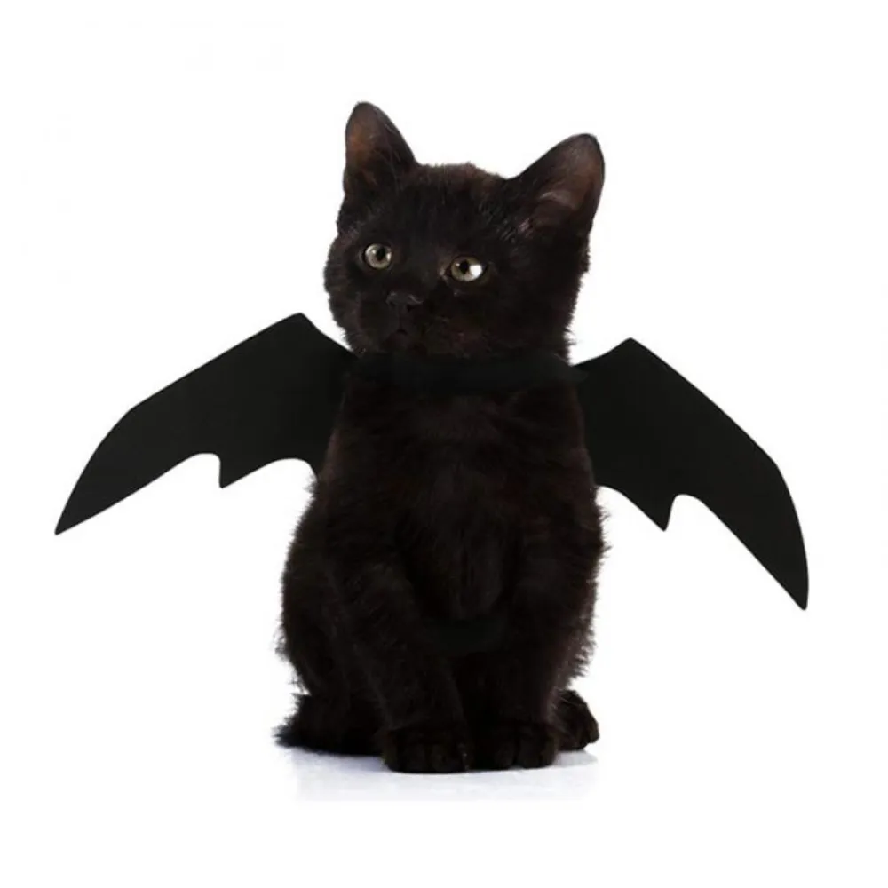 2022 New Pet Dog Cat Bat Wing Cosplay Prop Halloween Fantasia fantasia roupa de roupa de trajes