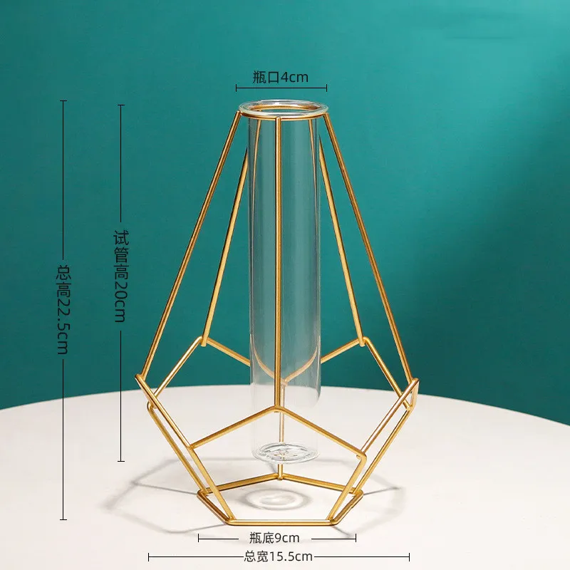 Nordic Simple Golden Glass Vase Hydroponic Plant Flower Vase Iron Geometric Glass Test Tube Metal Plant Holder Modern Home Decor 220809