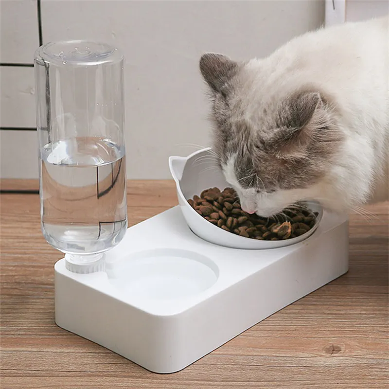 Plastic kat zwaartekracht water en voedsel kommen verhoogde verhoogde kom voor kleine honden s gekanteld dubbel huisdieren feeder 220323