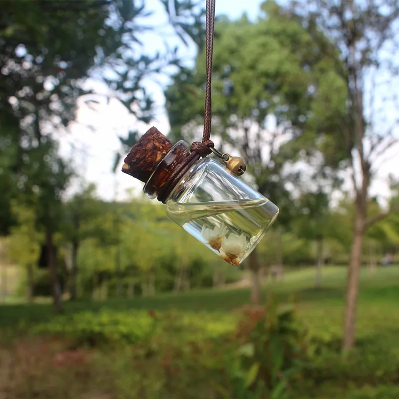 Nieuwste ontwerp Hangende aangepaste vintage flessen Glazen auto parfum fles 10 ml met houten deksel