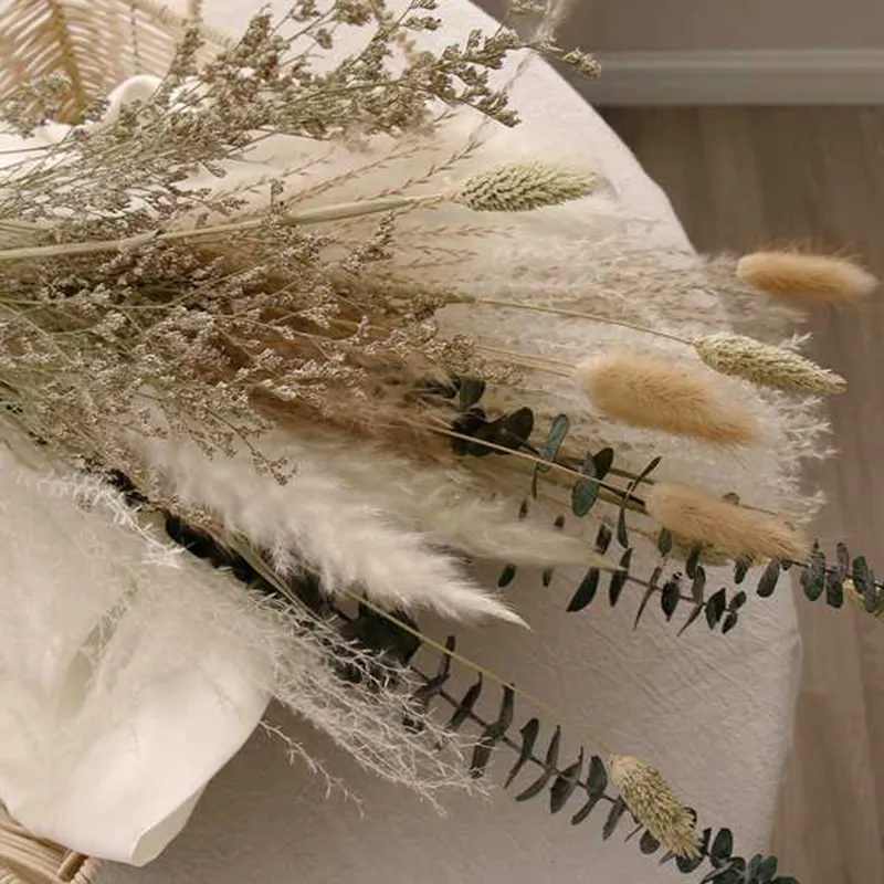 Grama de pampas phragmites reed flores naturais secas buquê arranjo festa de casamento decoração de casa decorações de natal para desk204y2656768