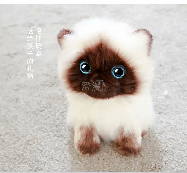 ぬいぐるみのようなシャム猫ぬいぐるみおもちゃシミュレーションアメリカンショートヘアかわいい猫人形ペットおもちゃ家の装飾ギフト女の子の誕生日