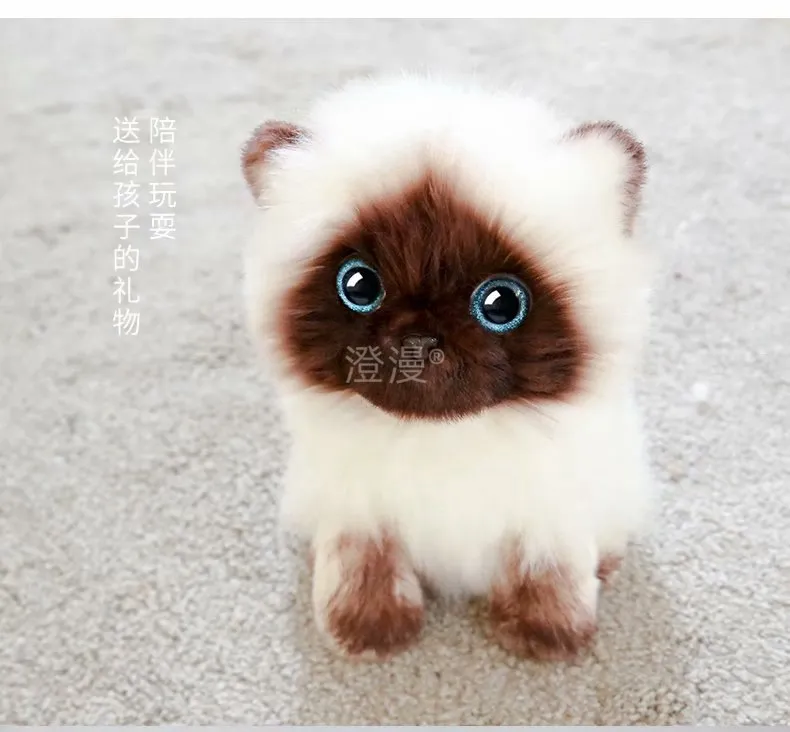 Peluche de chats siamois réalistes, jouet de simulation américain à poils courts, poupée de chat mignon, jouets pour animaux de compagnie, décoration de maison, cadeau pour filles bi, nouvelle collection