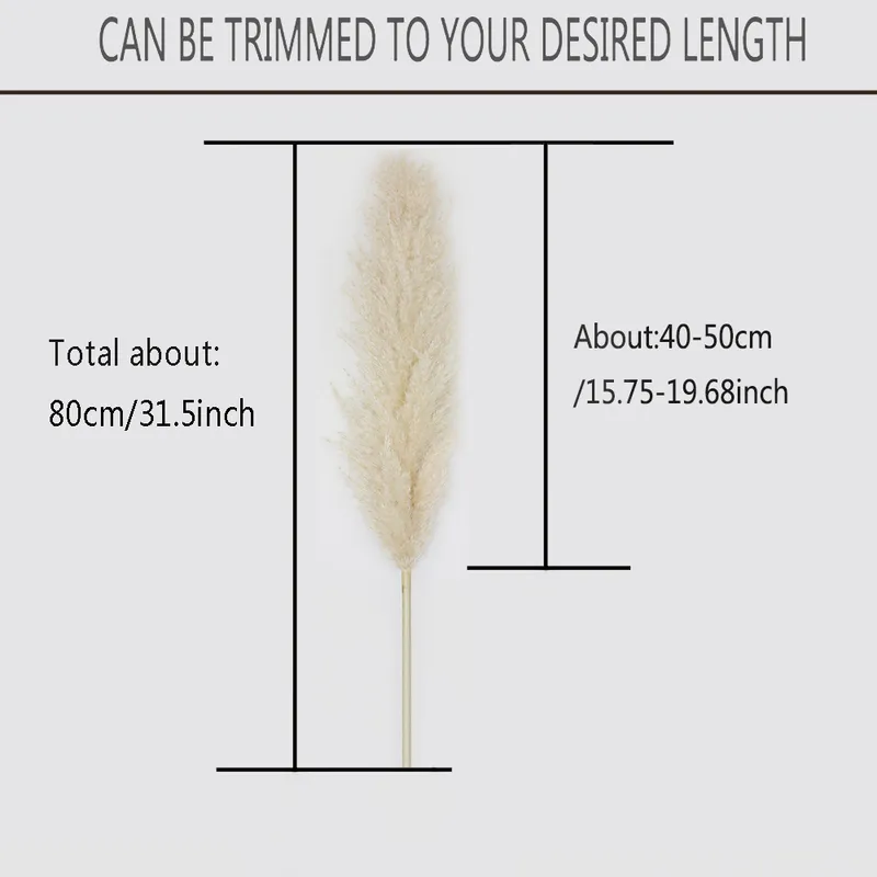 80CM Pampas Grass Large Super Fluffy Fiori secchi naturali Bouquet Decor Crema Colore Fiori matrimonio Decorazioni Regalo di Natale 220406