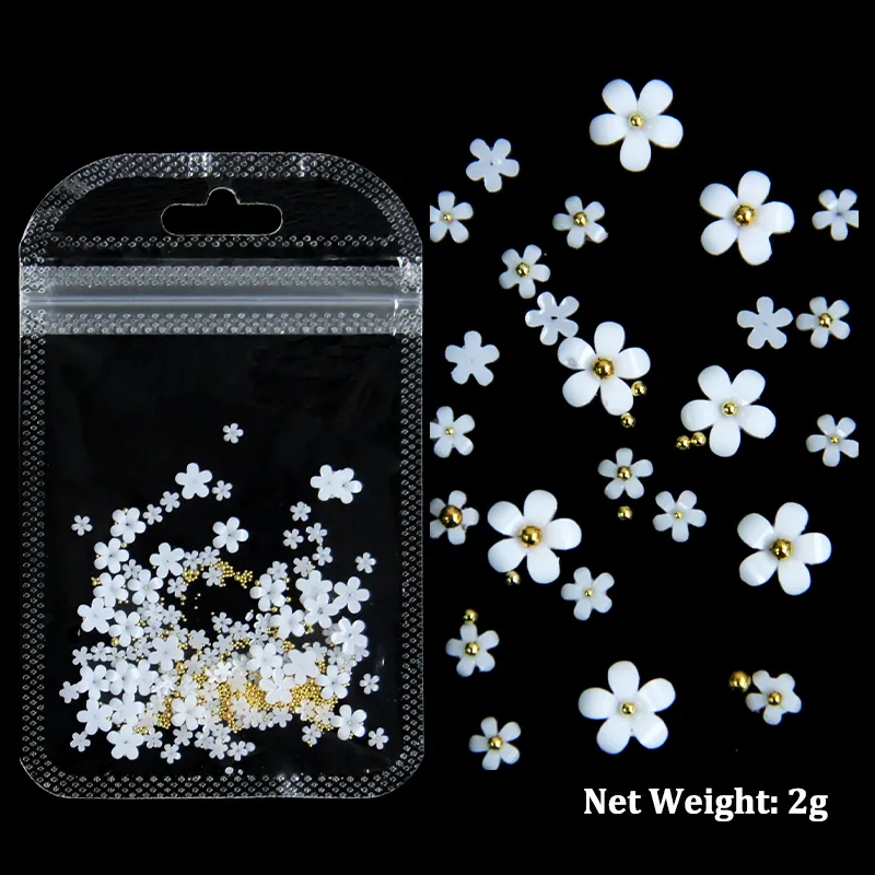 2g witte acrylbloem nagel kunstdecoratie gemengde grootte Rhinestones Gold Silver Gem Manicure Tool Accessoires Diy Nails Design