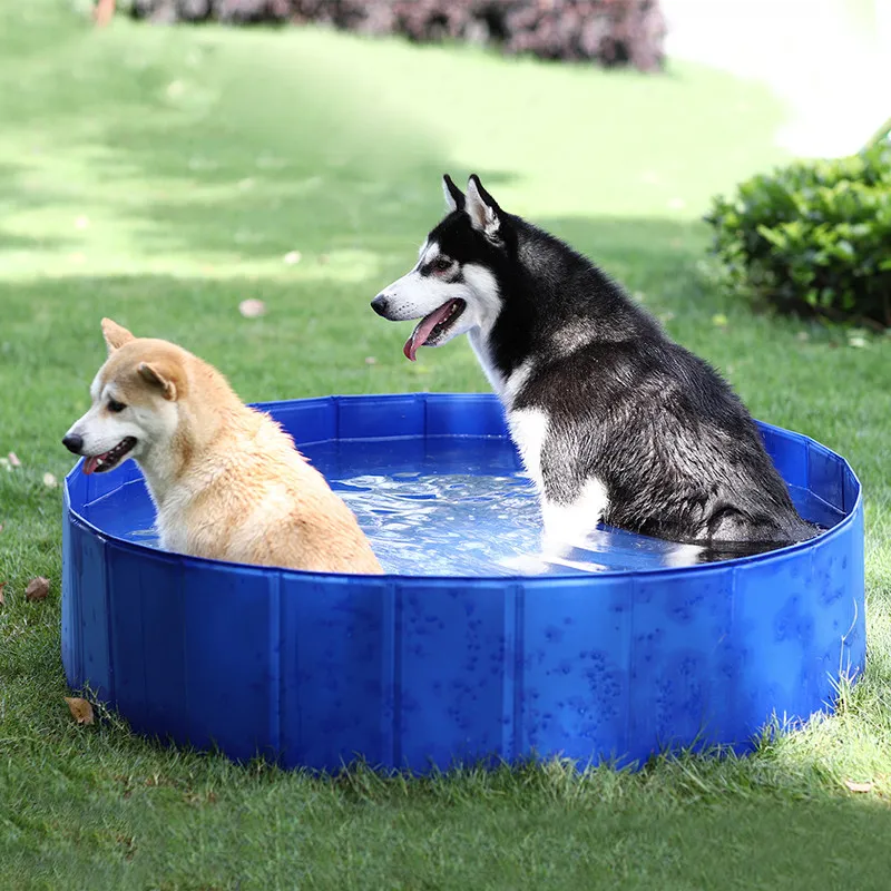 Foldbar hundpool Pet badkar badkar badkar utomhus inomhus hopfällbar badpool för hundkatter barn pool