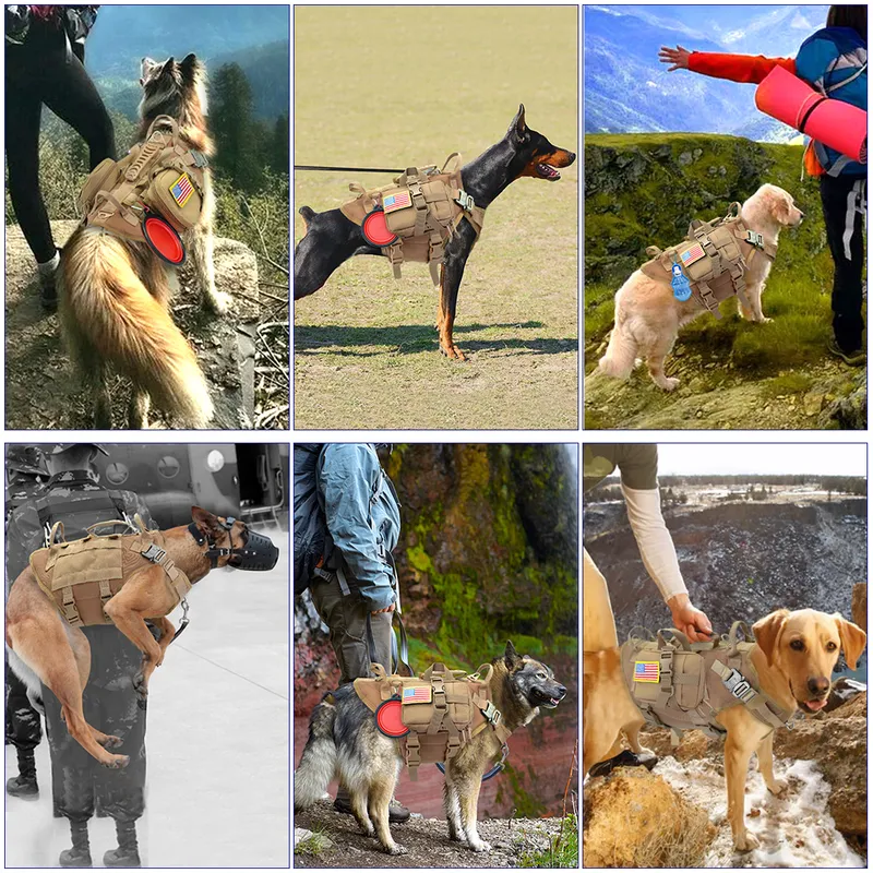 Taktik Köpek Koşluğu Askeri Yok Pet Pet Kablo Demet Yeleği Orta Büyük Köpekler Eğitim Yürüyüş Molle Köpek Kablo Demet 220815