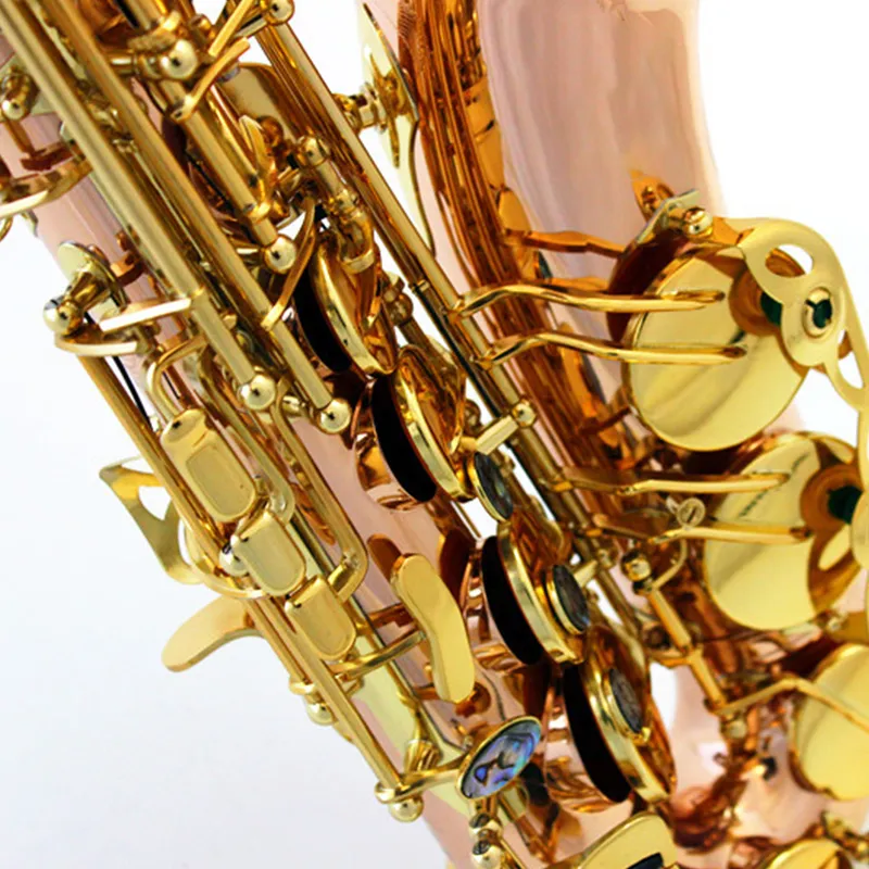 High-end drop e-tune Professional Alto Saxophone European Craft Fosfor Bronze Gold-Plated Tube Body Two-Color Sax Instrument