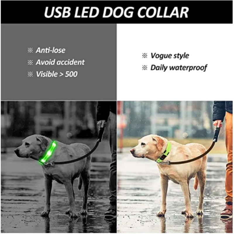LED Col de chien brillant collier lumineux Light Ajustement de nuit Light Dog pour fille petit chien Cat Pet Safety Accessoires