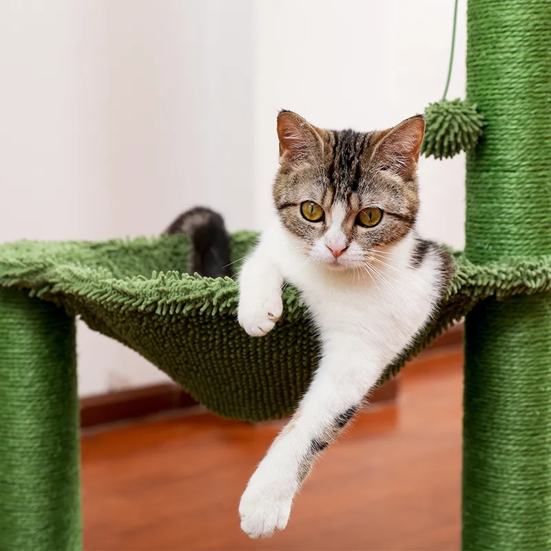 Cactus Cat Scratching Post with Sisal Rope Cat Scratcher Tree Towel with Comfortable Spacious Hammock Cats Climbing Frame 2205185562410