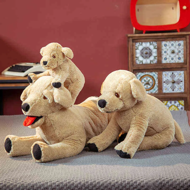 Cm Mignon Labrador Chien Jouets Kawaii Animal Poupées Rempli Doux Golden Retriever Oreiller Cadeaux D'anniversaire Pour Enfants Fille Garçons J220704