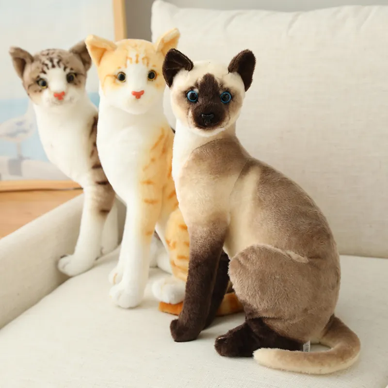 Nieuwe gevulde levensechte Siamese katten pluche speelgoedsimulatie American Shorthair Cute Cat Doll Pet Toys Home Decor cadeau voor meisjes bi