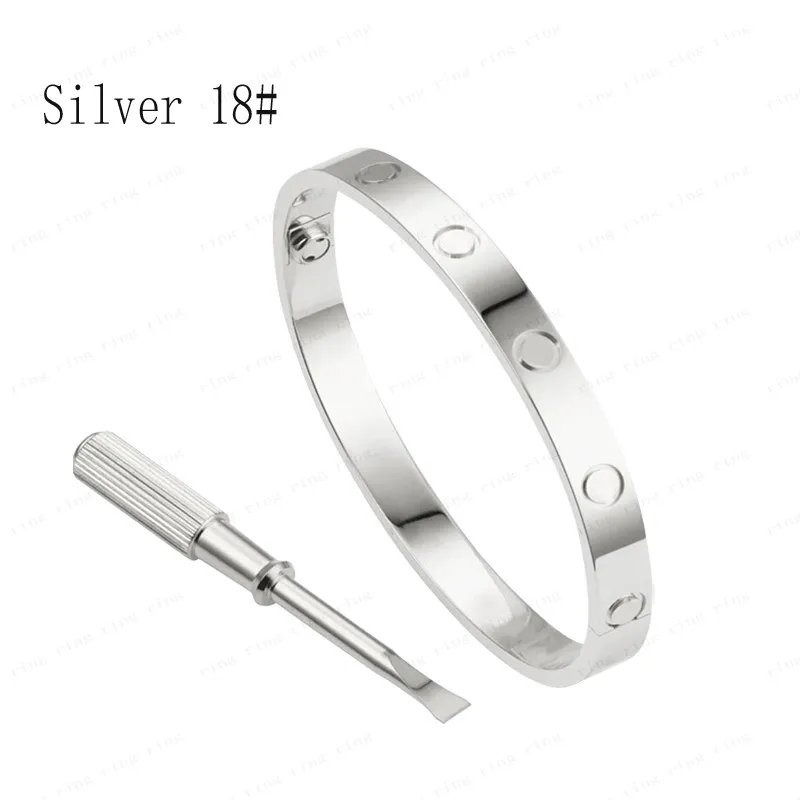 Mode rostfritt stål silver 18k pläterat rosguldarmband för män eller kvinnor topptillverkare design ädla och elegant276n