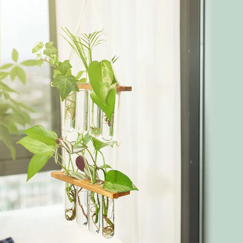 Kreative Massivholz Hydrokultur Reagenzglas Glas Wandbehang Wanddekoration Vase Home Plant Hängende Wanddekoration Behälter 2206221k