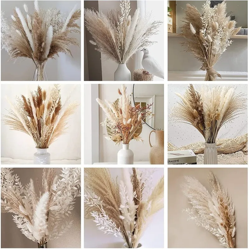 herbe de pampas séchée naturelle, décor boho y herbe pompeuse blanche grande roseau de basse de blé de blé de blé décoratif 2204086440369
