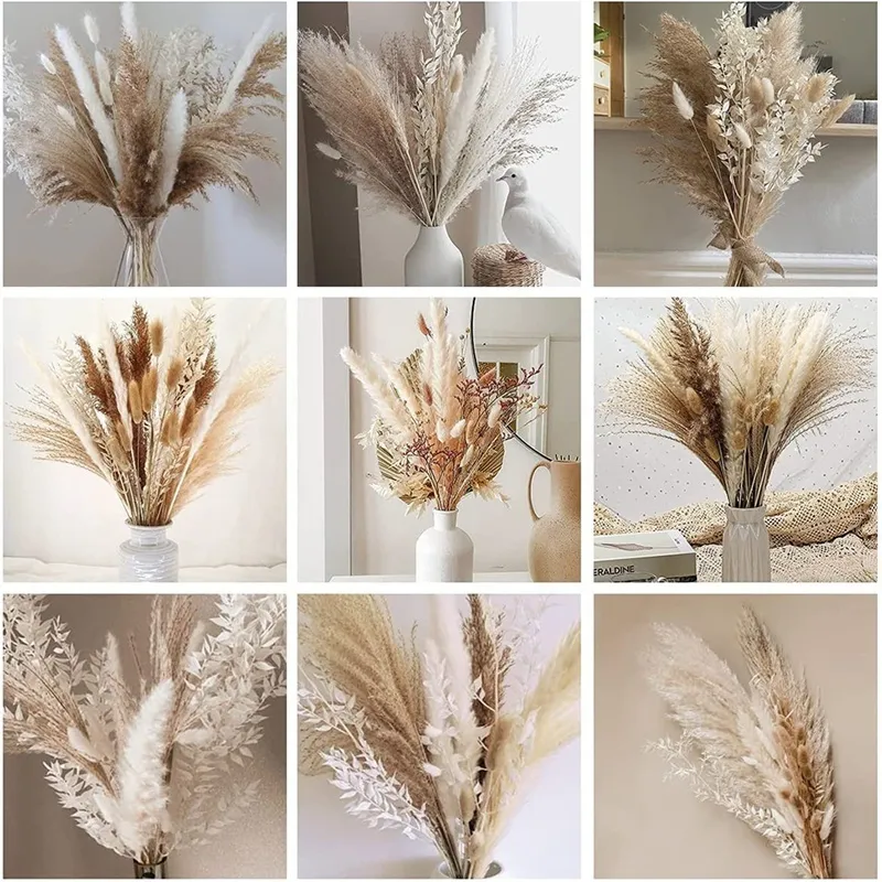 herbe de pampas séchée naturelle, décor boho y herbe pompeuse blanche grande roseau de baptide blé de blé de blé décoratif 2204087930066