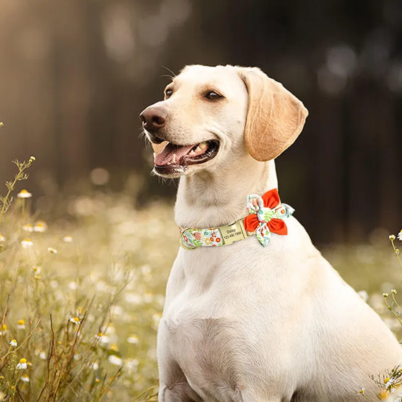 Floral Persoalized Dog Collar Fashion Printed Custom Nylon Dog Collar med gratis graverad typskylt för små medelstora stora hundar 220608
