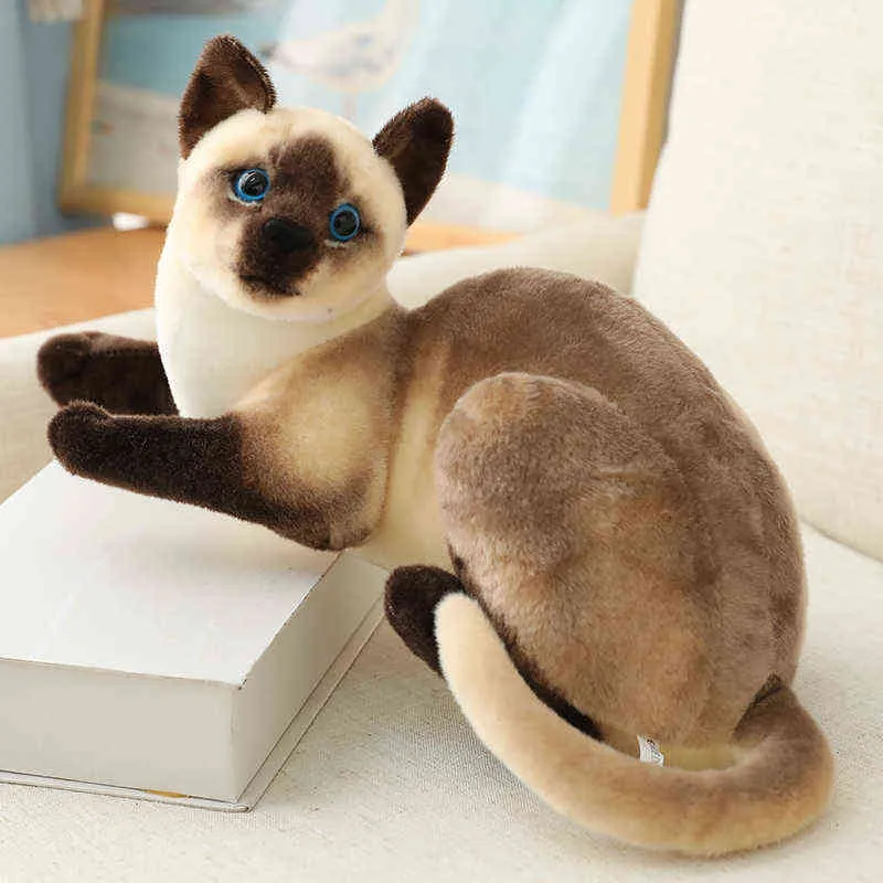 Pc Cm Cute Plush Siamese Cat Pillow Dolls Soft Cuddly Cushion Sofa Decor cartoon Toys For Children Kids J220704