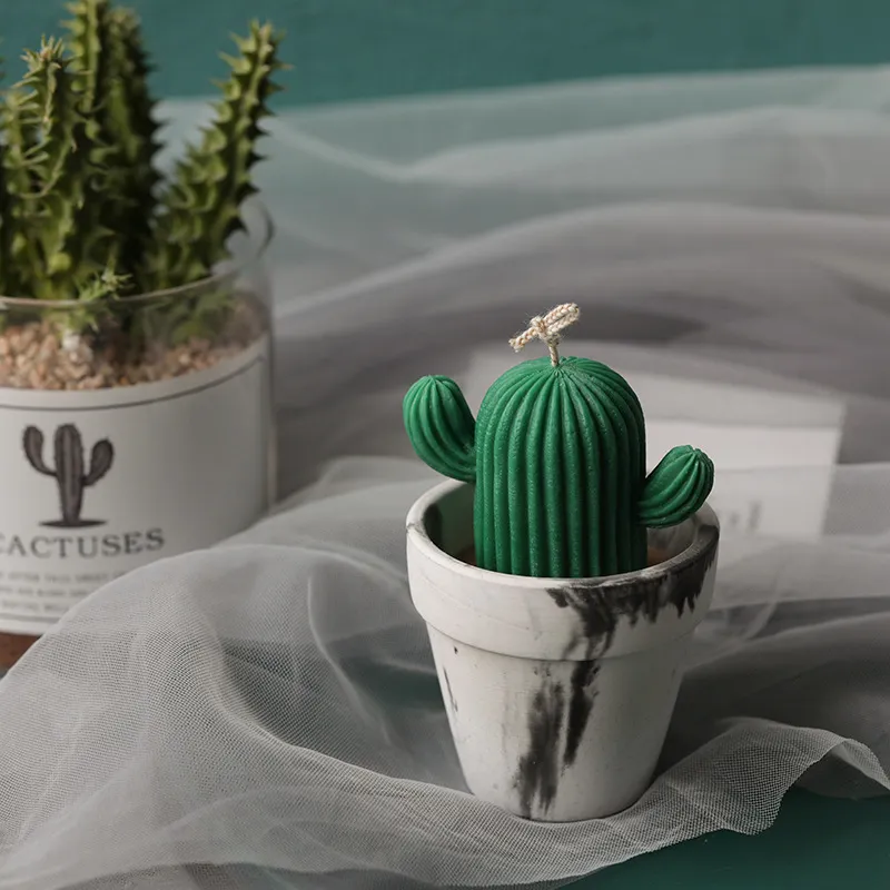 Mini Mirror Cactus -mal voor handgemaakte desktopdecoratie gips epoxy hars aromatherapie kaarsen siliconen schimmel 220629