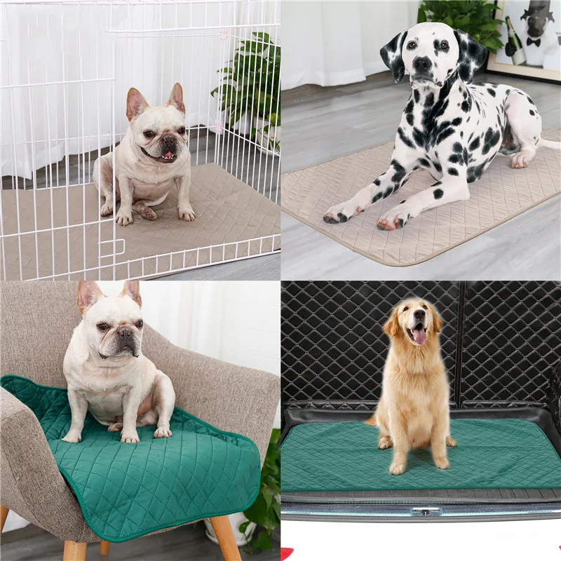 PET PET PEE PAPS مقاوم للماء أسفل الخيزران الألياف الكلاب PAD PAD ECO صديقة للامتصاص Superbent S M L 220510