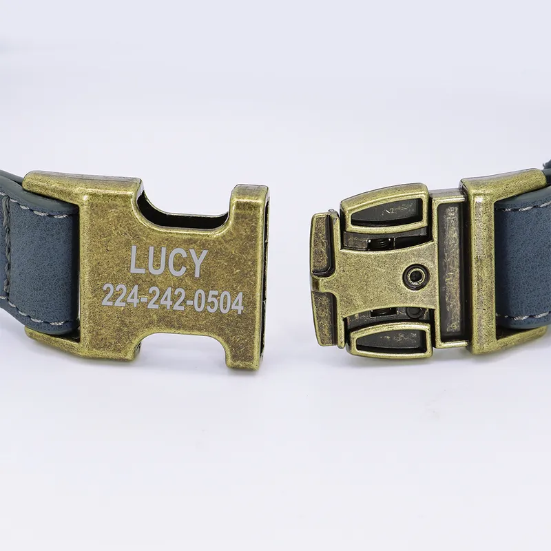 Personalized Dog ID Collar Customized Dogs Tag Collars With Metal Buckle Leather Padded for Small Medium Dogs Pitbull Buldog 220610