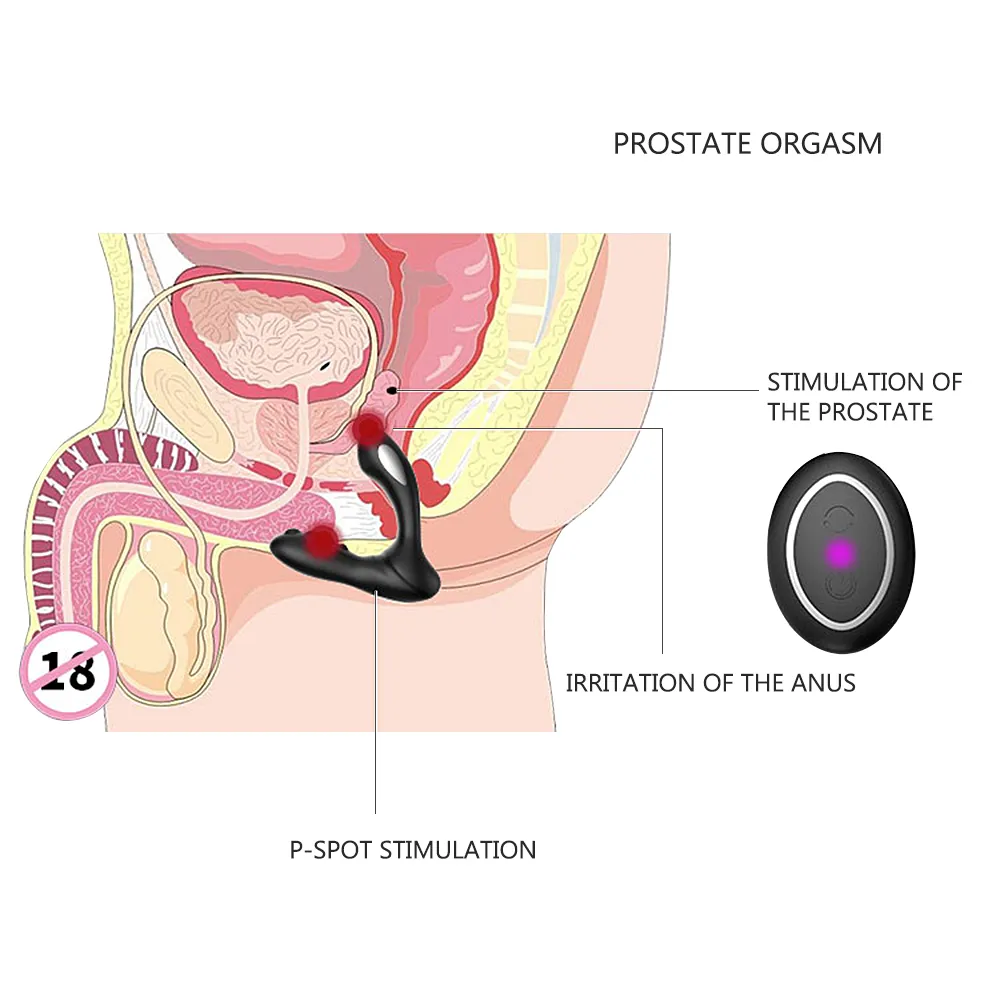 OLO Dildo anale Vibratore Butt Plug Stimolatore del perineo Shock elettrico Massaggiatore della prostata 8 velocità Giocattoli sexy uomo Donna Gay348I