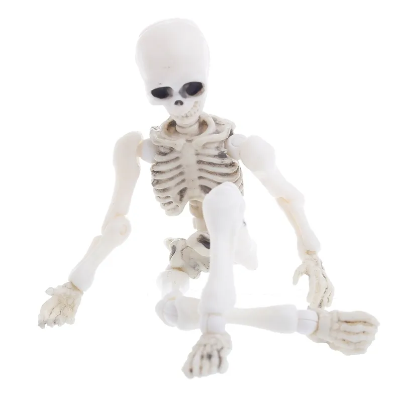 Halloween Toys Movable Mr Bones Skeleton Human Model Skull Full Body Mini Figur 2208232388064