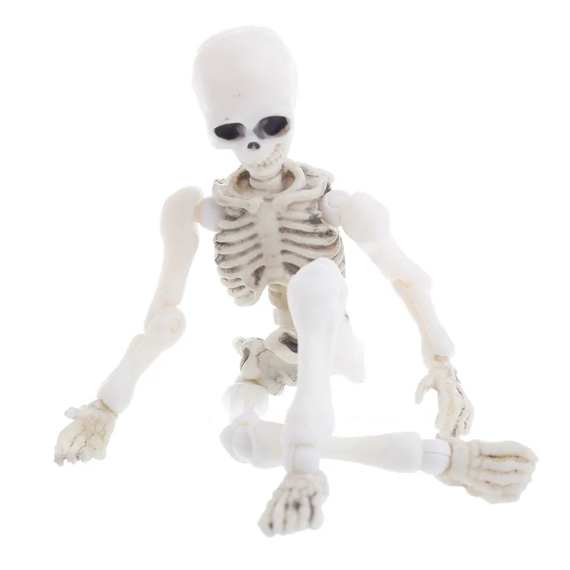 Halloween Toys Movable Mr Bones Skeleton Human Model Skull Ganzkörper Mini Figur 2208232388064