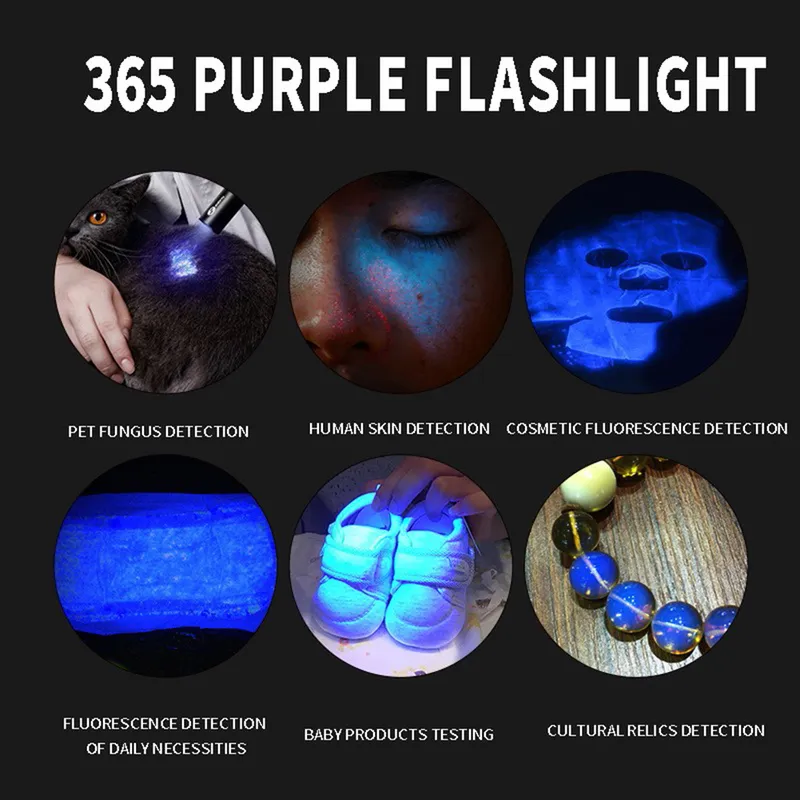 UV Flashlight Black Light Rechargeable 365nm Ultraviolet Handheld Torch Portable For Detector For Dog Urine Pet Stains Bed Bug 220808