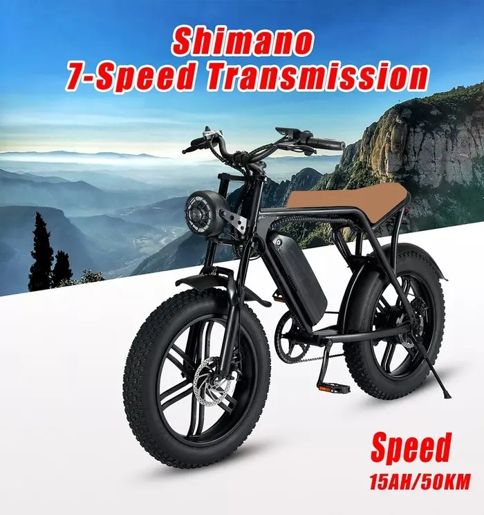 Snow Electric Bike Electric Assisted Mountain Bike Beach Snow Tyre Electric Bike Motorcycle