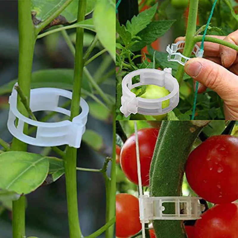50/プラスチックプラントクリップがサポートされています再利用可能な保護グラフト固定ツール野菜トマト用のガーデニング用品