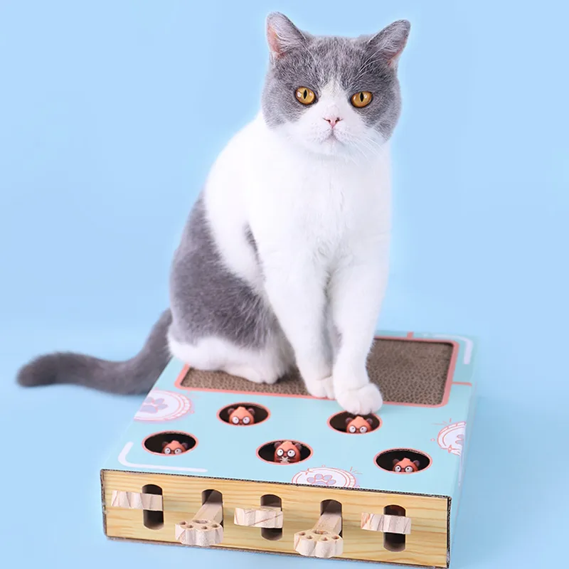 Funny Cat Toy Turntable Ball Cat Scratch Board Round Corrugated Paper Turntable Grinder Round Multi Holes Grind Claw Training 220623