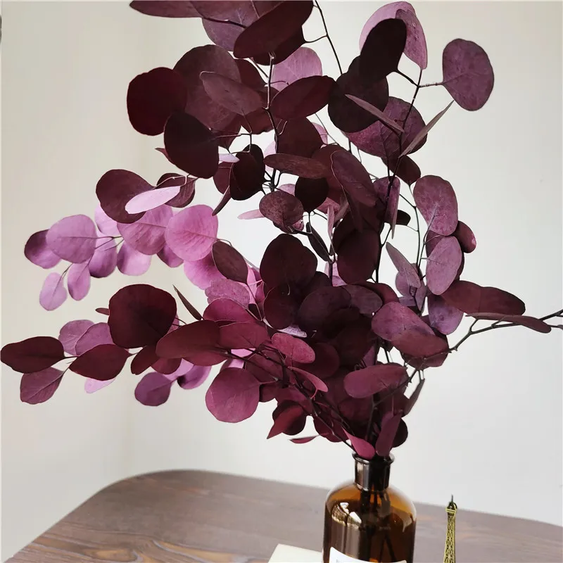 7080GNATURALE Preservate Eucalyptus Foglie bouquet Eternal Sedied Flower for Wedding Home Decoration Accessori Display Flower7837088