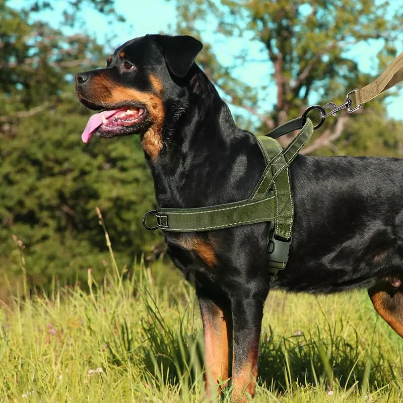 Colliers de chien laisses réfléchissantes sans traction harnais en nylon réglable gilet d'entraînement de marche pour animaux de compagnie pour chiens de taille moyenne Pitbull allemand S218f