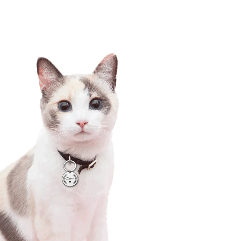 개인화 된 조각 애완 동물 고양이 이름 태그 맞춤형 개 ID 태그 칼라 액세서리 명판 안티 로스트 펜던트 금속 키링 220610