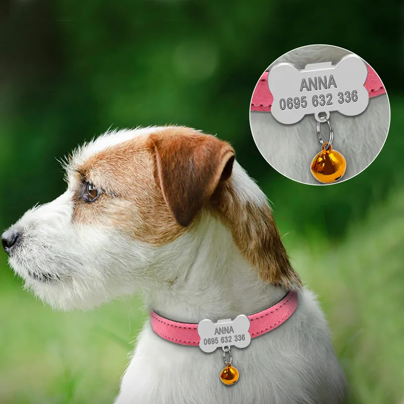 Collari cani personalizzati Chihuahua personalizzato Collare gatti Collare ossa Etichette identificative incise cani di piccola taglia Regalo gratuito Campana XS S 220610