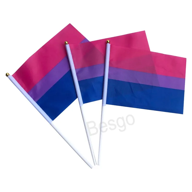 14x21 cm Gay Pride Regenboog Stok Vlag Transgender Lesbische Regenbogen Banner LGBT Regenboog Vlaggen Met Vlaggenmast Handheld Banners BH7265 TYJ