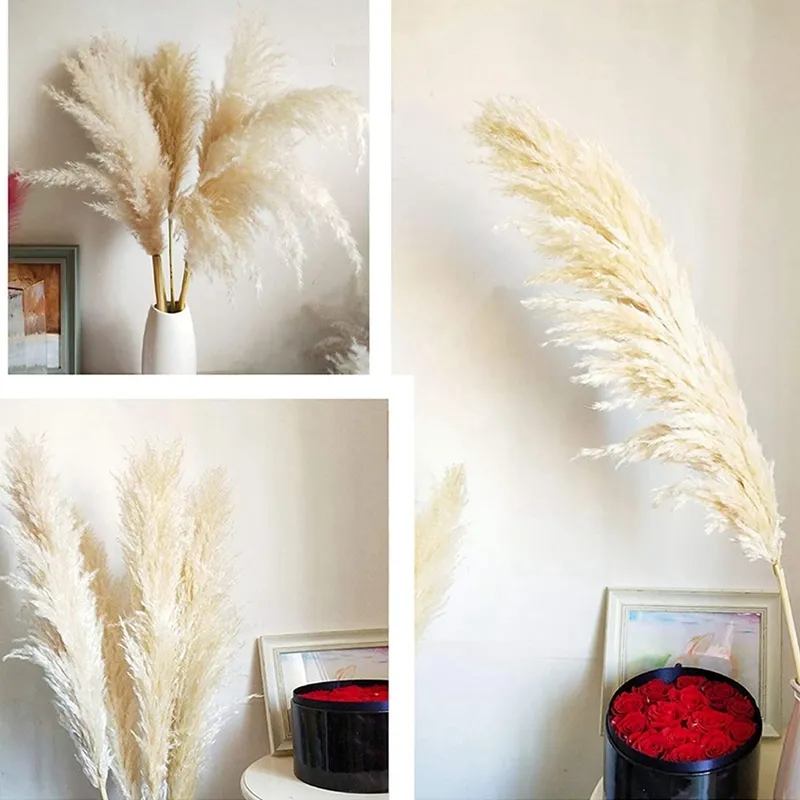 80cm Pampas Grama Grande Super Fluffy Natural Secado Flores Buquê Decor Creme Cor De Casamento Flores Decorações Presente de Natal 220406