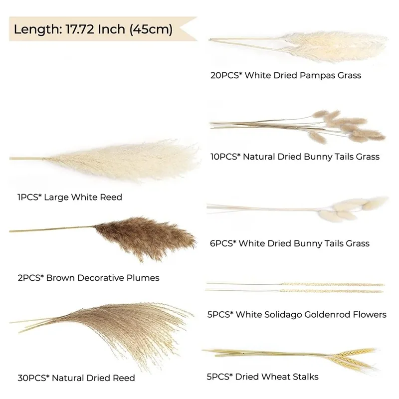 79個の天然乾燥パンパス草、自由奔放に生きるふらふらふわふわの白い甘い草の草の大きさの尾の小麦の茎の装飾220408