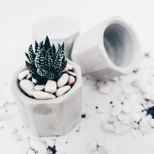 Ośmiokątny silikonowy beton mięsisty świecznik ceramiczny gliny rzemieślnicze DIY Flower Pot.