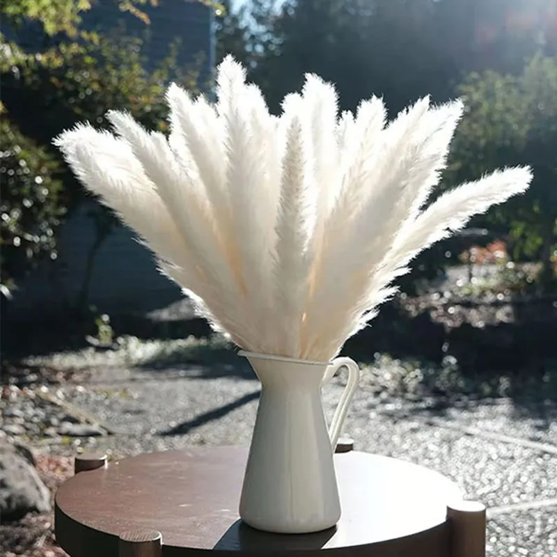 1045 cm Pampas secco naturale bouquet bou boho decorazioni la casa phragmites floom la disposizione dei fiori del matrimonio Reed4971038