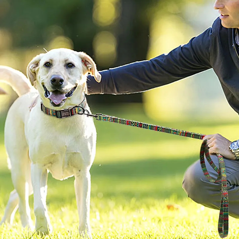 Gepersonaliseerde hondenkraag met riem nylon aangepaste huisdier -kammen kleurrijke bedrukte honden wandelen riem voor kleine middelgrote grote honden 220621