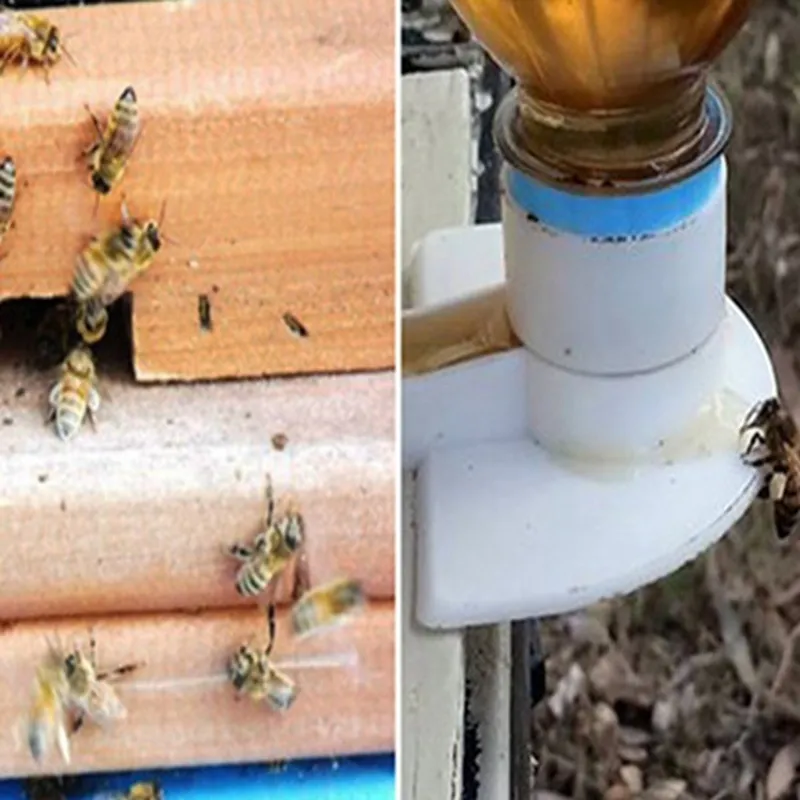 pszczoły podajnik wejściowy miód utrzymanie nić nić utrzymywanie wyposażenia Hive narzędzie hodowla królowa H2 220602